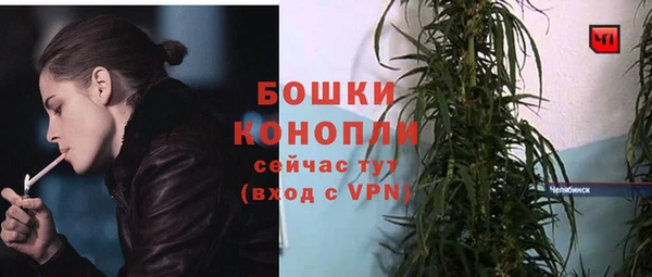 мяу мяу мука Гусиноозёрск
