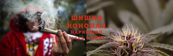 мяу мяу мука Гусиноозёрск