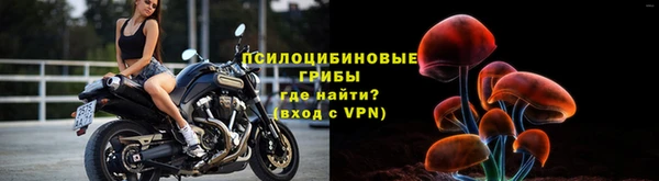 прущая мука Гусь-Хрустальный