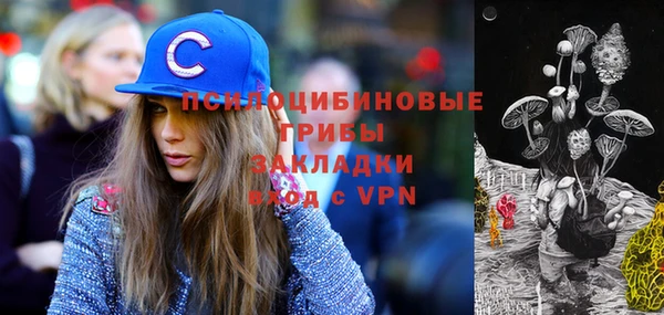 мяу мяу мука Гусиноозёрск