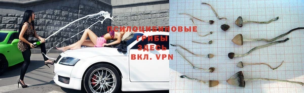 прущая мука Гусь-Хрустальный