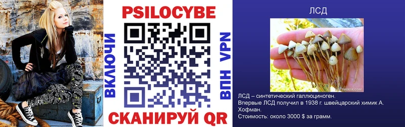Псилоцибиновые грибы Psilocybe Купить Альметьевск